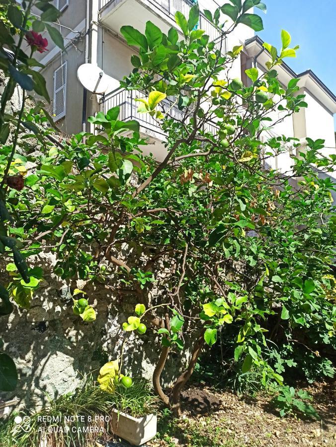 Lemons House Apartamento Monterosso al Mare Exterior foto